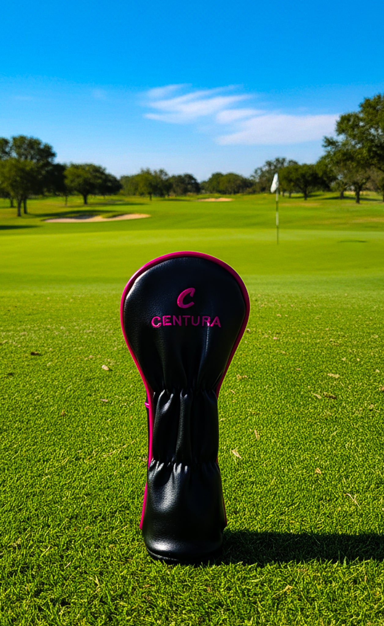 305 Circuit Lumière Wood Headcover